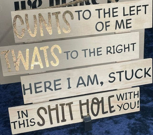 "CUNTS To The Left Of Me, TWATS To The Right, Here I Am, Stuck In This SHITHOLE With You" Very Rude Hanging Plaque
