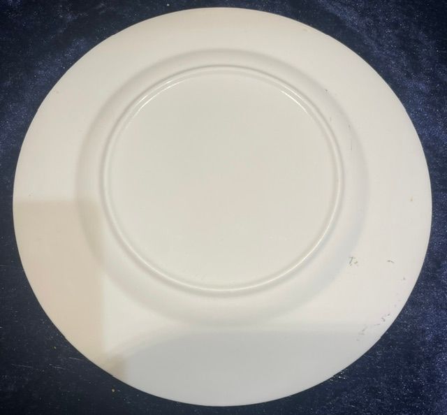 "OUT OF ALL THE CUNTS IN THE ROOM, YOU'RE THE Nicest" Dinner Plate