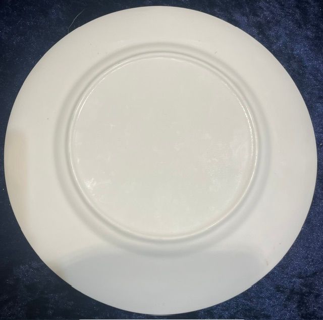 "I GAVE UP MY JOB TO BE A FULL TIME CUNT" Dinner Plate